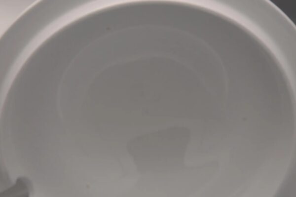 Petrus Regout- Soup Tureen and Cover