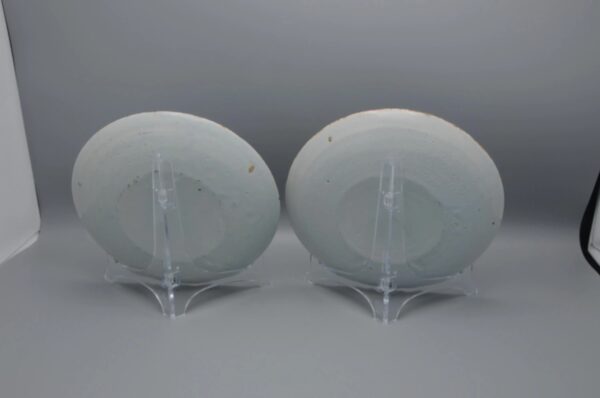 Dutch Delft - pair of blue and white Delftware plates late 18th century