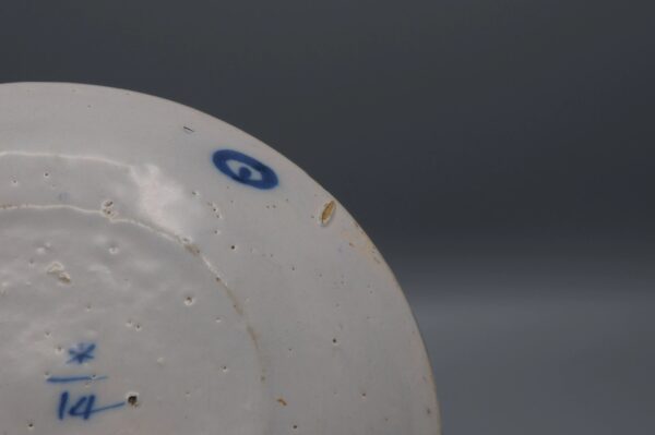 Delft "De Witte Starre" - 18th century Dragonfly Plate